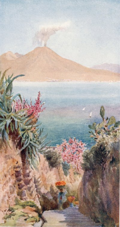 Posillipo. La baie de Naples - William Wiehe Collins