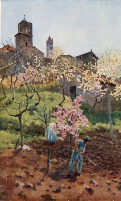 Sienne. Sous les murs - William Wiehe Collins