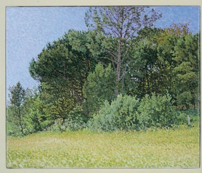 Soirée en Dordogne - William Wilkins