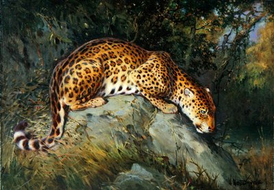 Un léopard accroupi sur un rocher - William Woodhouse