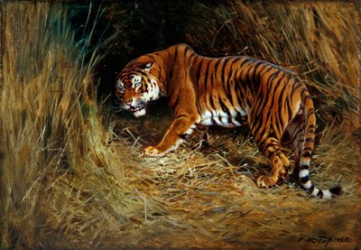 Un tigre rôdeur - William Woodhouse