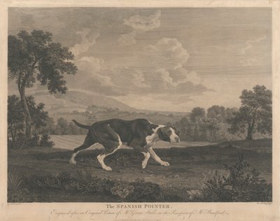 [Chasse] Le pointeur espagnol - William Woollett