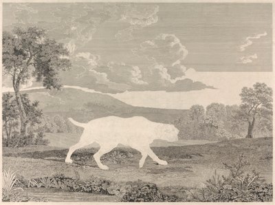 Le pointeur espagnol - William Woollett