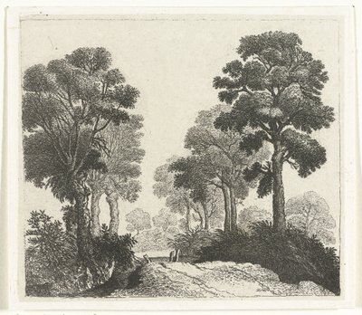 Paysage avec arbres le long d