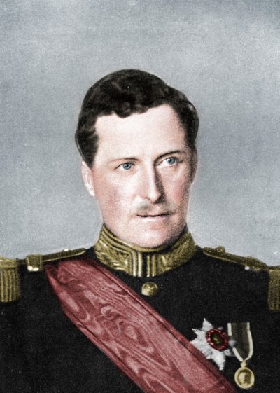 Albert, Roi des Belges, Première Guerre mondiale - William and Daniel Downey