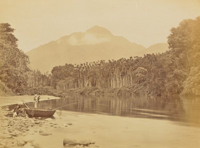 [Vue d