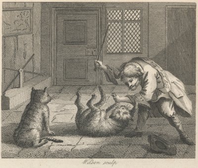 Le ratier et les chats - Wilson