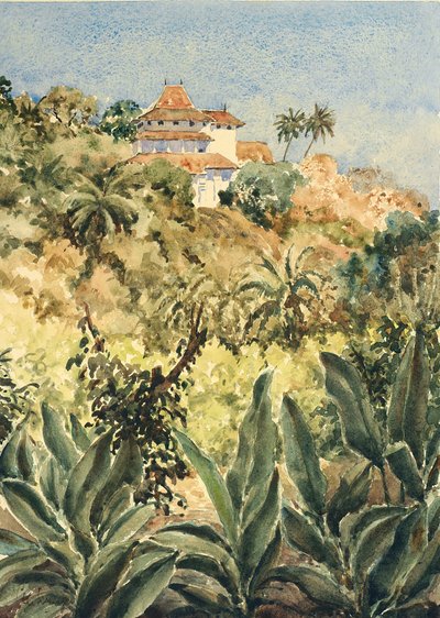 723 Lankatilaka depuis le jardin de poivre - Wilson Clive