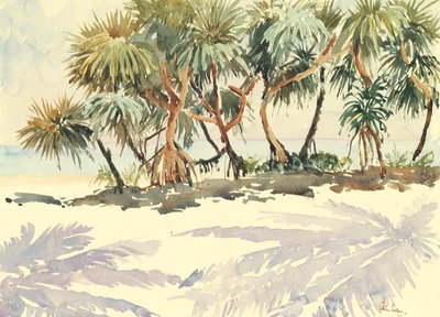 Arbres de paille, Bentota - Wilson Clive