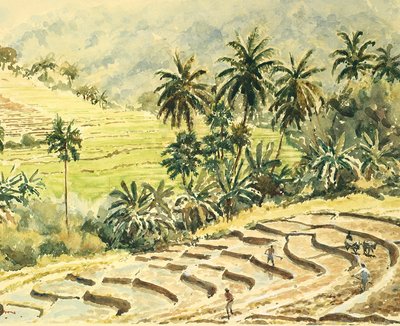 Dunhinda, préparation des rizières - Wilson Clive
