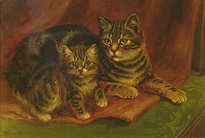 Un chat tigré avec un chaton - Wilson Hepple
