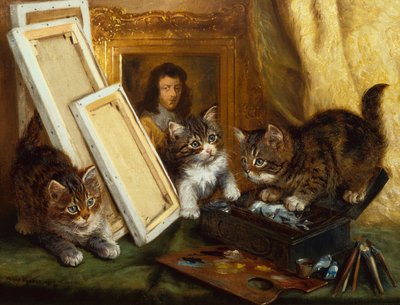 Les chatons de l