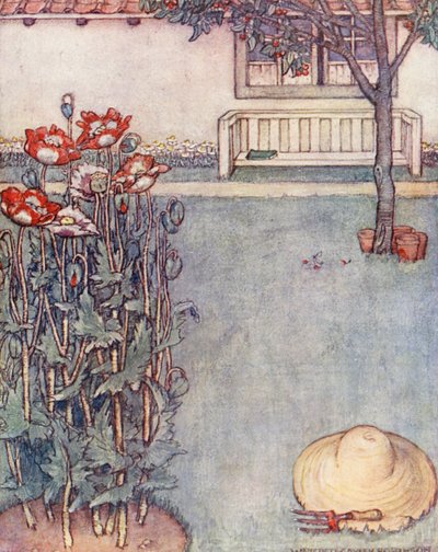 Livre de jardinage pour enfants : Coquelicots - Winifred Cayley Robinson