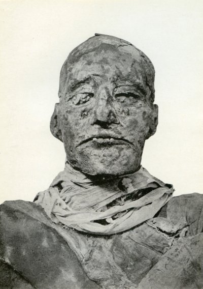 Tête de la momie de Ramsès III, pharaon égyptien de la 20ème dynastie, c1156 av. J.-C. 1926 - Winifred Mabel Brunton
