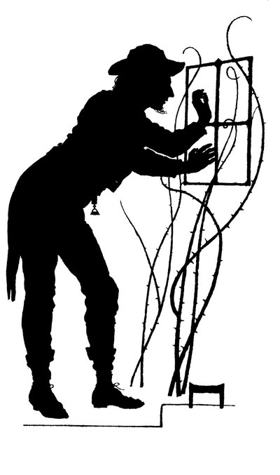Illustration pour The Courtin