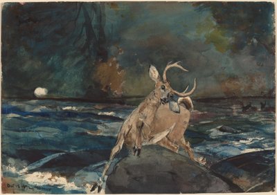 Un bon coup, Adirondacks - Winslow Homer