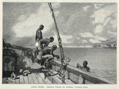 Un ouragan, la culture du chanvre, sur l