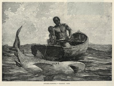 A Peddler, A Nassau Gateway, Shark-Fishing--Nassau Bar, from The Century Magazine, February 1887 - Winslow Homer