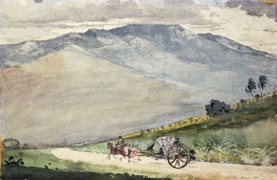 Une Volante sur une route de montagne, Cuba, 1885 - Winslow Homer