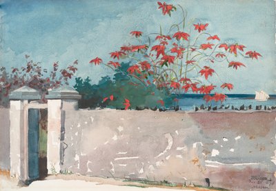 Un mur, Nassau, 1898 - Winslow Homer