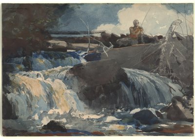 Lancer dans les chutes - Winslow Homer