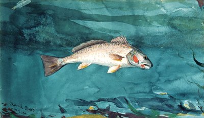 Bar de canal, 1904 - Winslow Homer