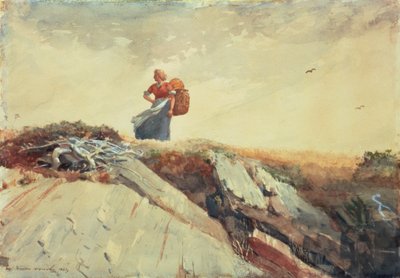 En bas de la falaise - Winslow Homer