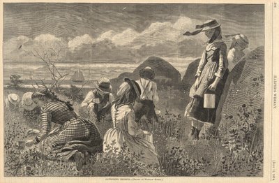 Cueillette de baies, de Harper - Winslow Homer