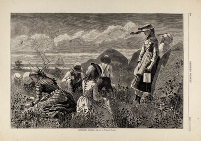 La cueillette des baies, tiré de Harper