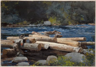  - Winslow Homer