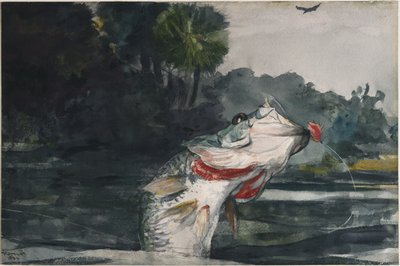 Bar noir grandeur nature - Winslow Homer