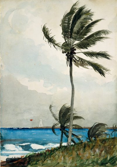 Palmier, Nassau, 1898 - Winslow Homer