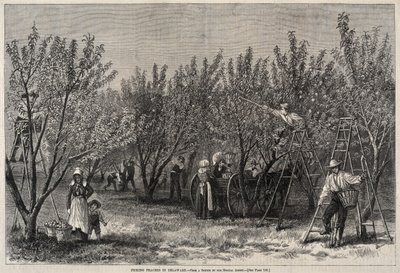  - Winslow Homer