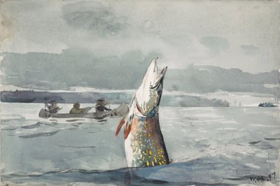 Lac Saint-Jean - Winslow Homer