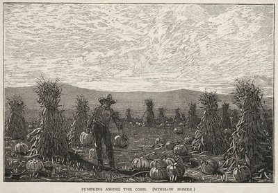 Des citrouilles parmi le maïs - Winslow Homer