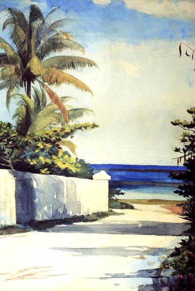 Route à Nassau, 1898-99 - Winslow Homer
