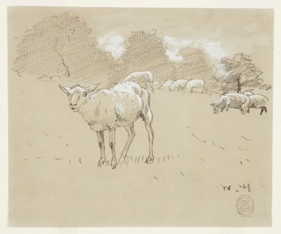 Moutons Pâturant dans un Champ - Winslow Homer