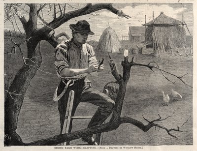  - Winslow Homer