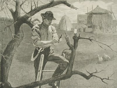  - Winslow Homer