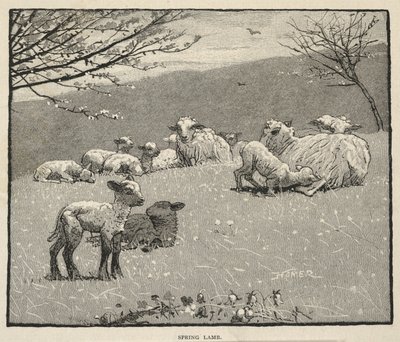  - Winslow Homer
