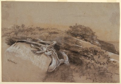 Étude de racines d