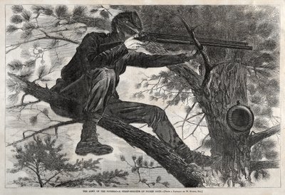  - Winslow Homer
