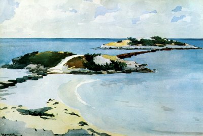 Le Favori, 1899-1901 - Winslow Homer
