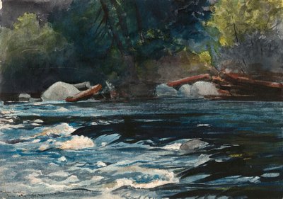 Les rapides, rivière Hudson, Adirondacks - Winslow Homer