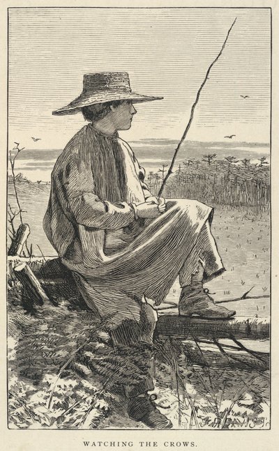 Watching The Crows, tiré de Our Young Folks, juin 1868 - Winslow Homer