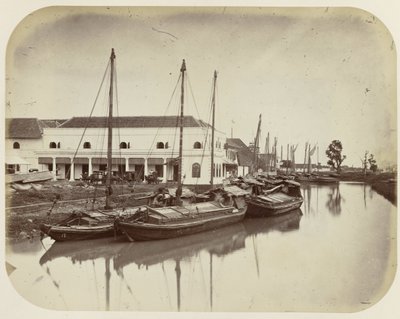 Grand arbre au canal du port à Batavia - Woodbury and Page
