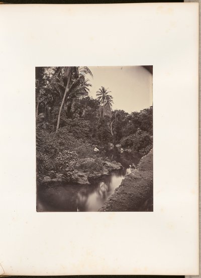 [Rivière à Kupang] - Woodbury and Page