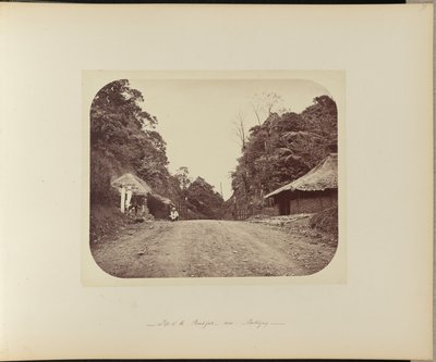 Sommet du Poentjak près de Buitenzorg - Woodbury and Page