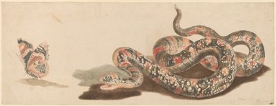 Serpent et papillon - Workshop of Johann Teyler