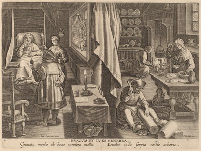 Hyacum et Lues Venerea (Guaiacum et infection vénérienne) - Workshop of Philip Galle after Jan van der Straet